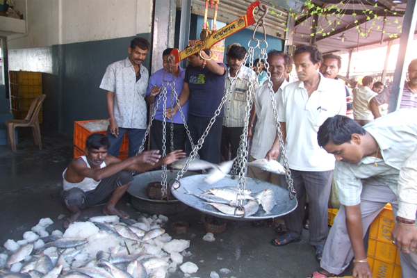 Fish Market